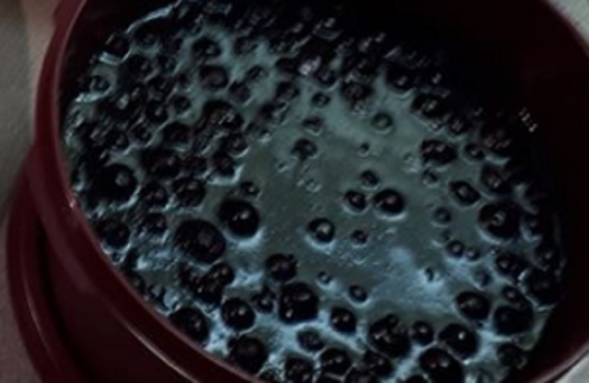 Recette: Sauce aux bleuets et sirop d'�rable.