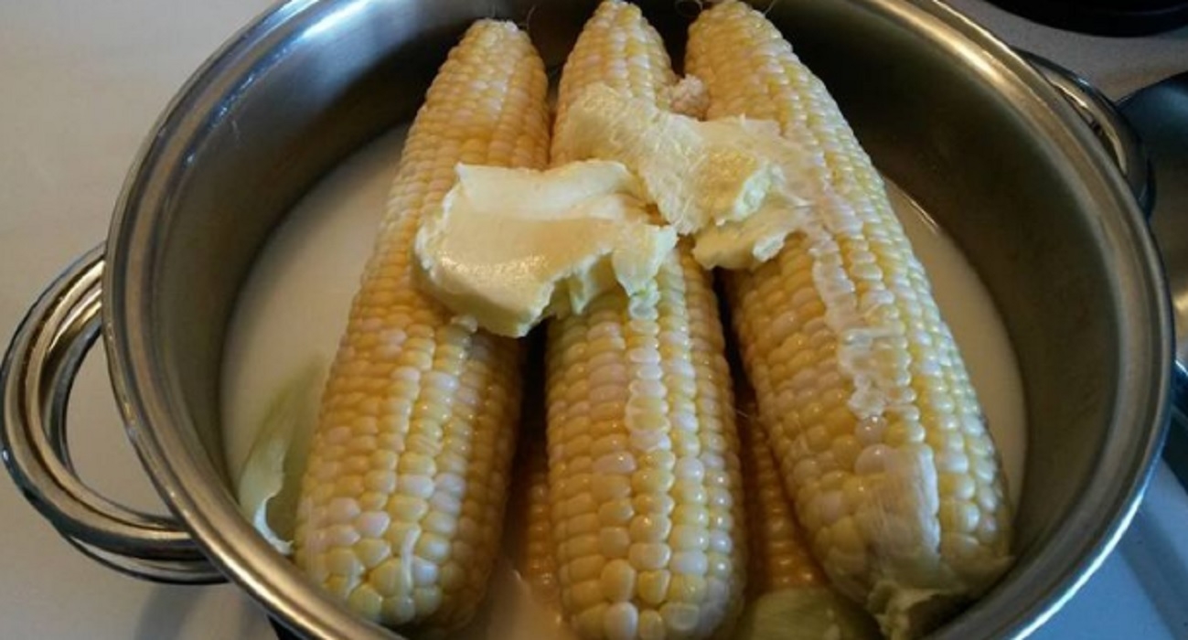 Recette: �pis de ma�s au lait et au beurre.