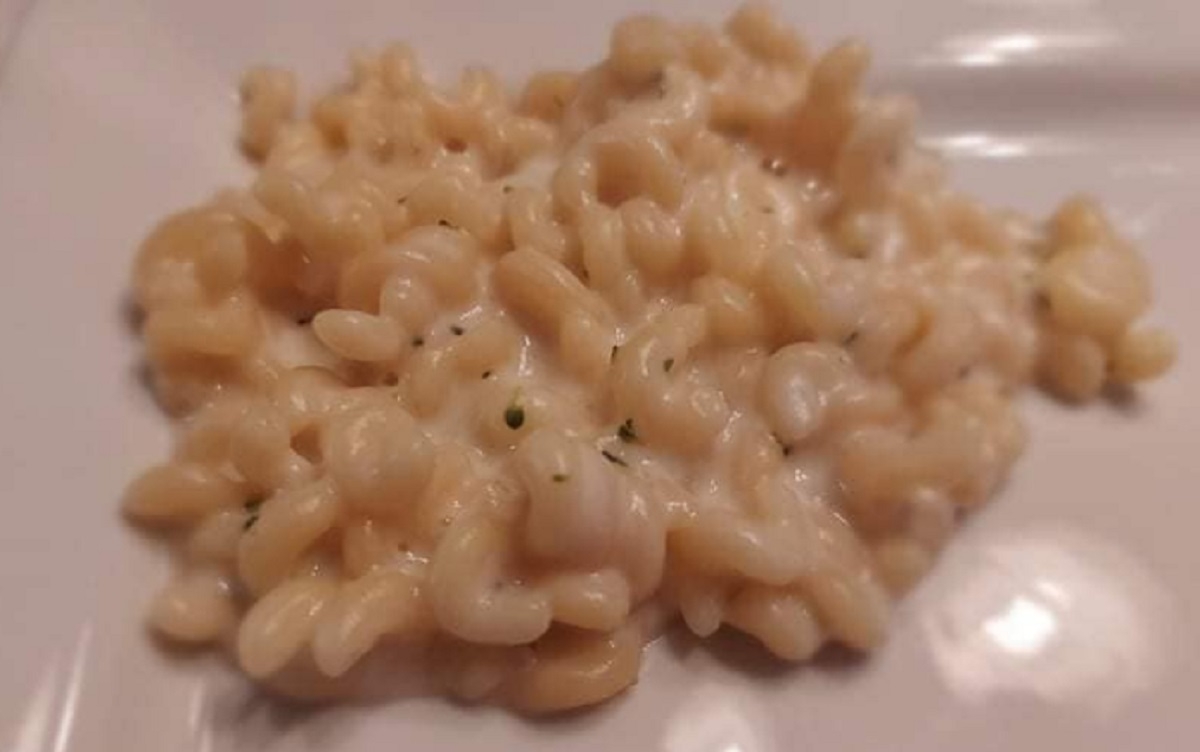 Recette: Macaronis au cheddar fort de fiston.