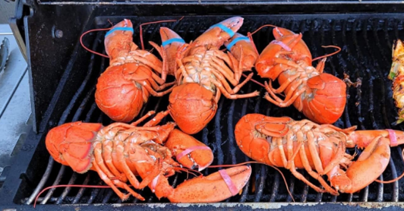 Recette: Homard sur le BBQ.