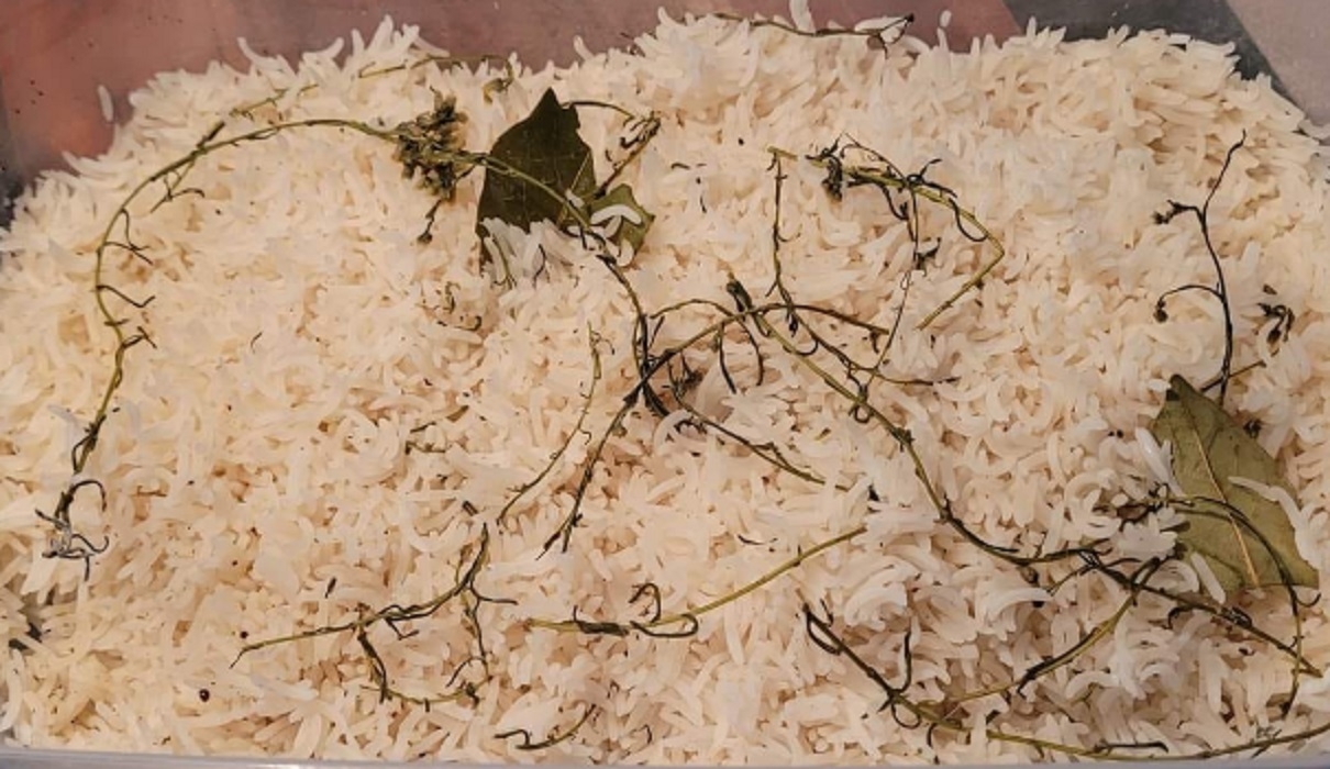 Recette: Riz basmati aux pices, feuilles de laurier et thym frais.
