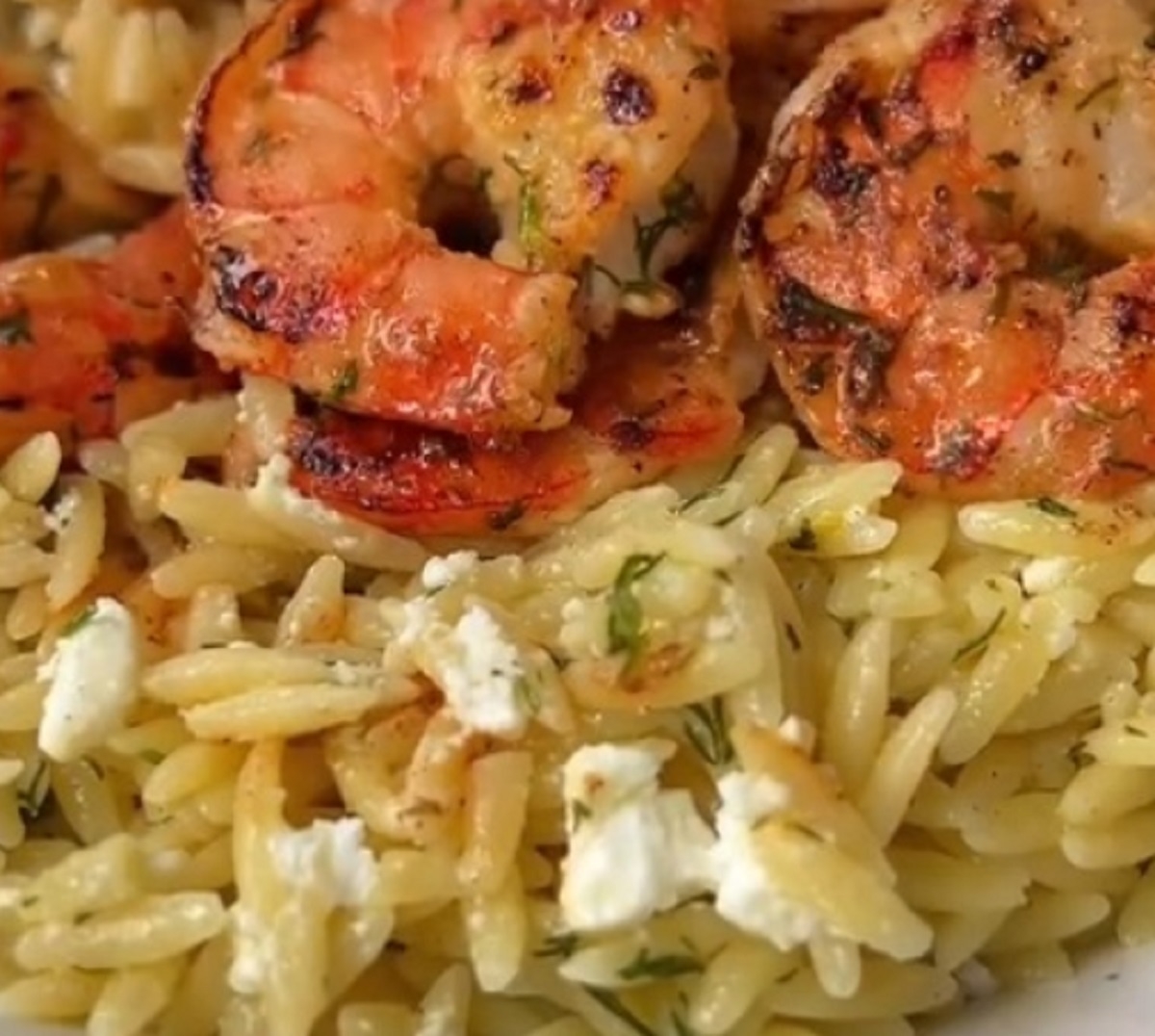 Recette: Orzo aux crevettes.