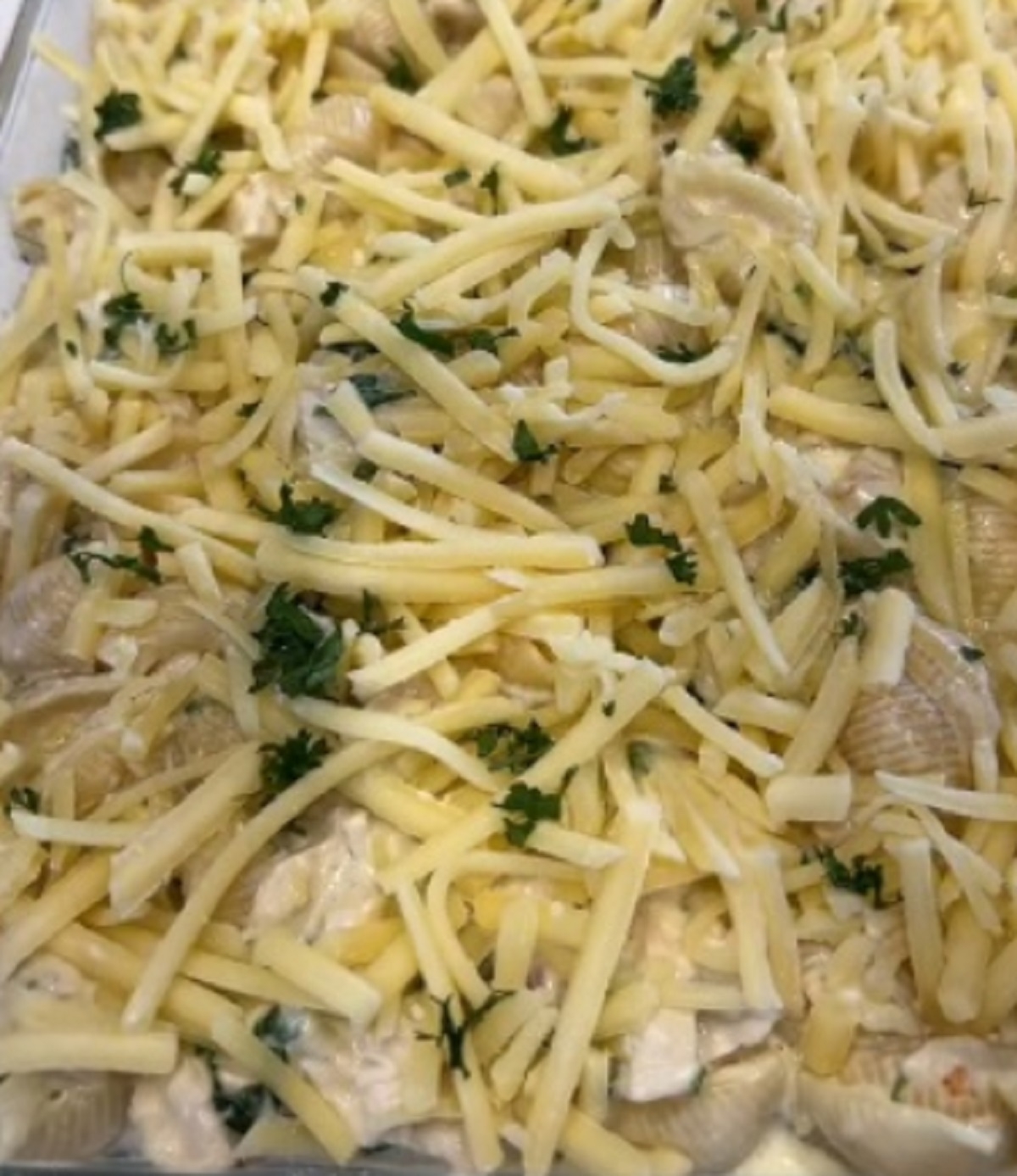 Recette: Petites coquilles au poulet, sauce Alfredo.