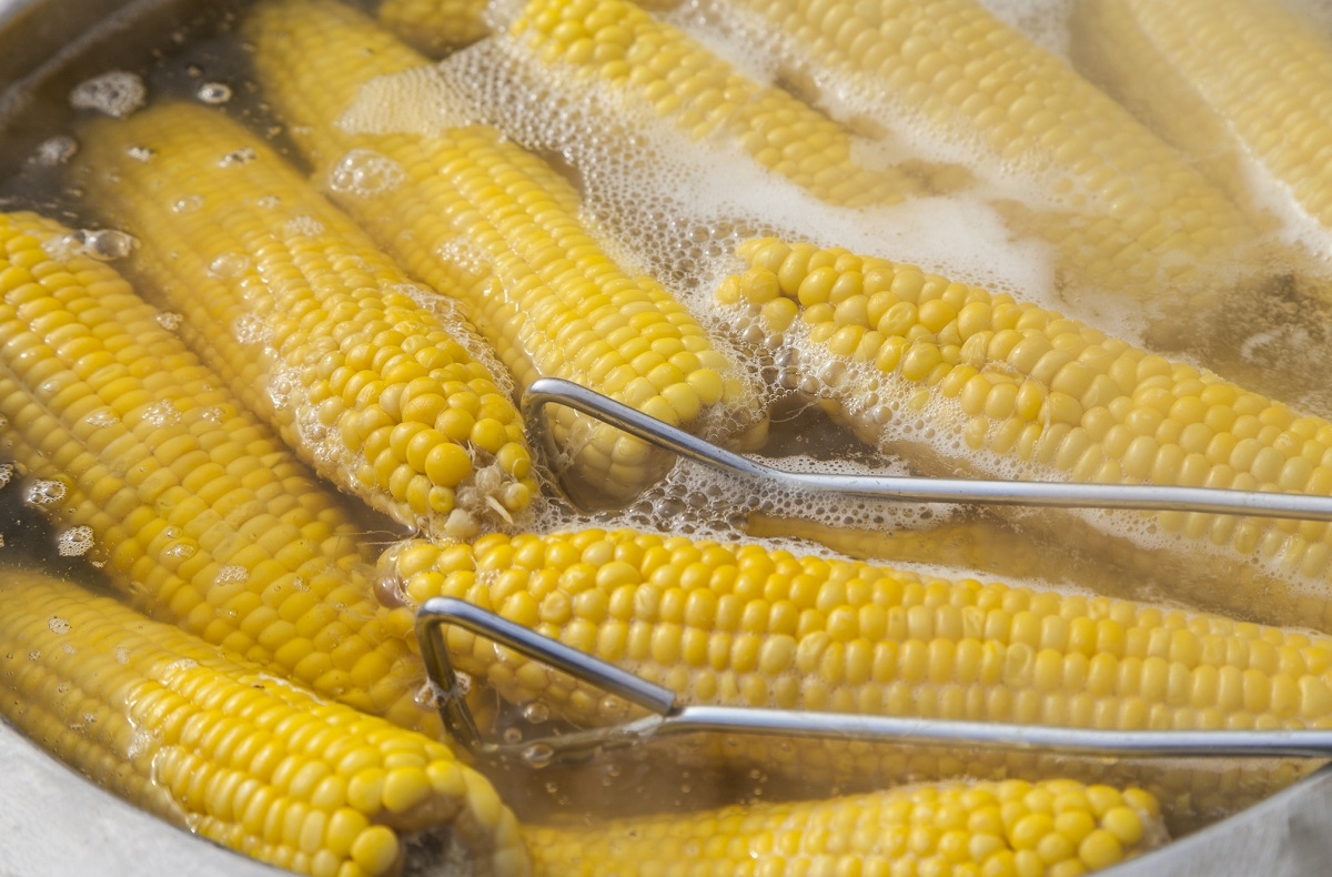 Recette: Guide pour la cuisson �pis de ma�s frais.