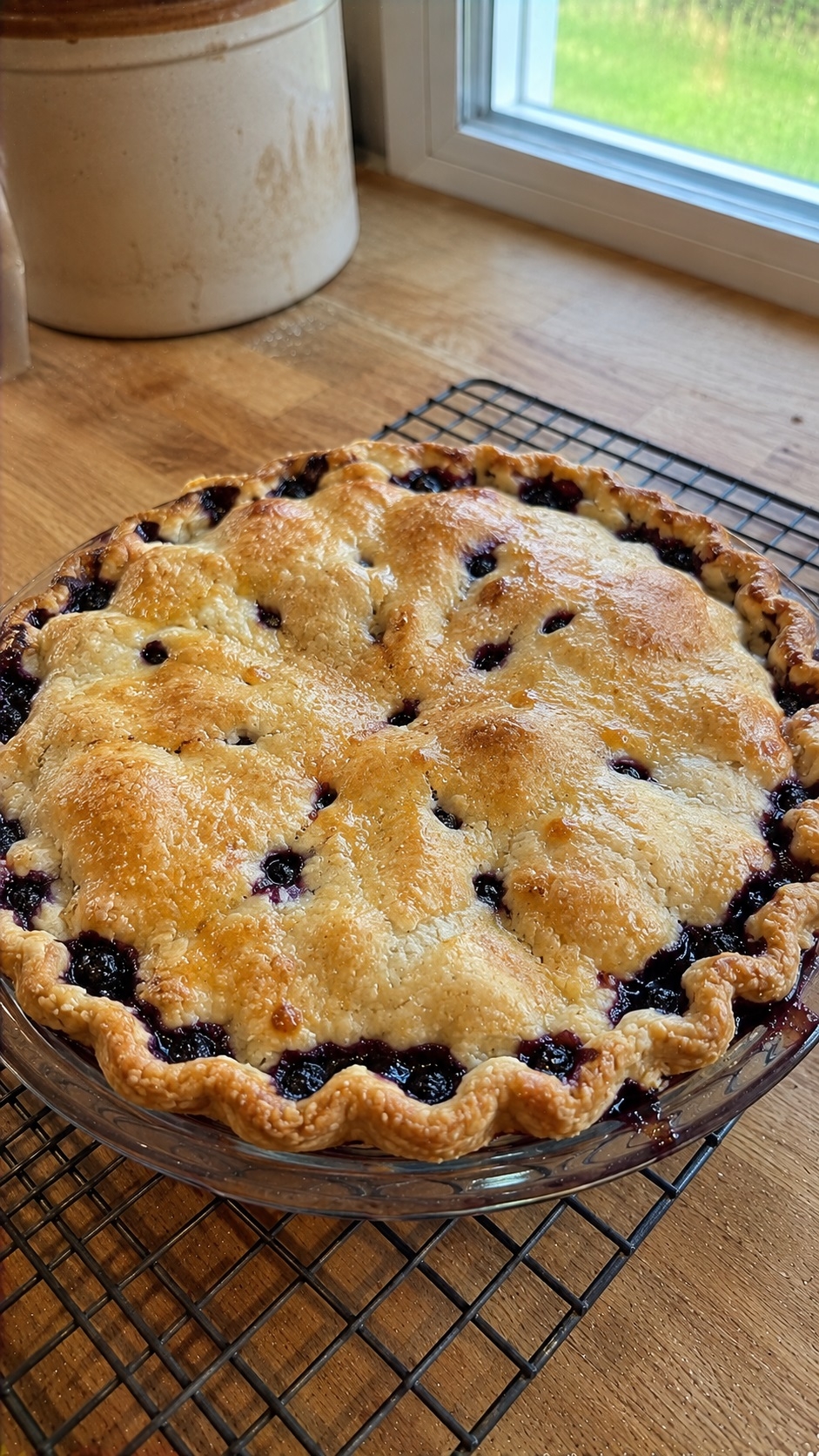 Recette : Tarte aux bleuets congel�s